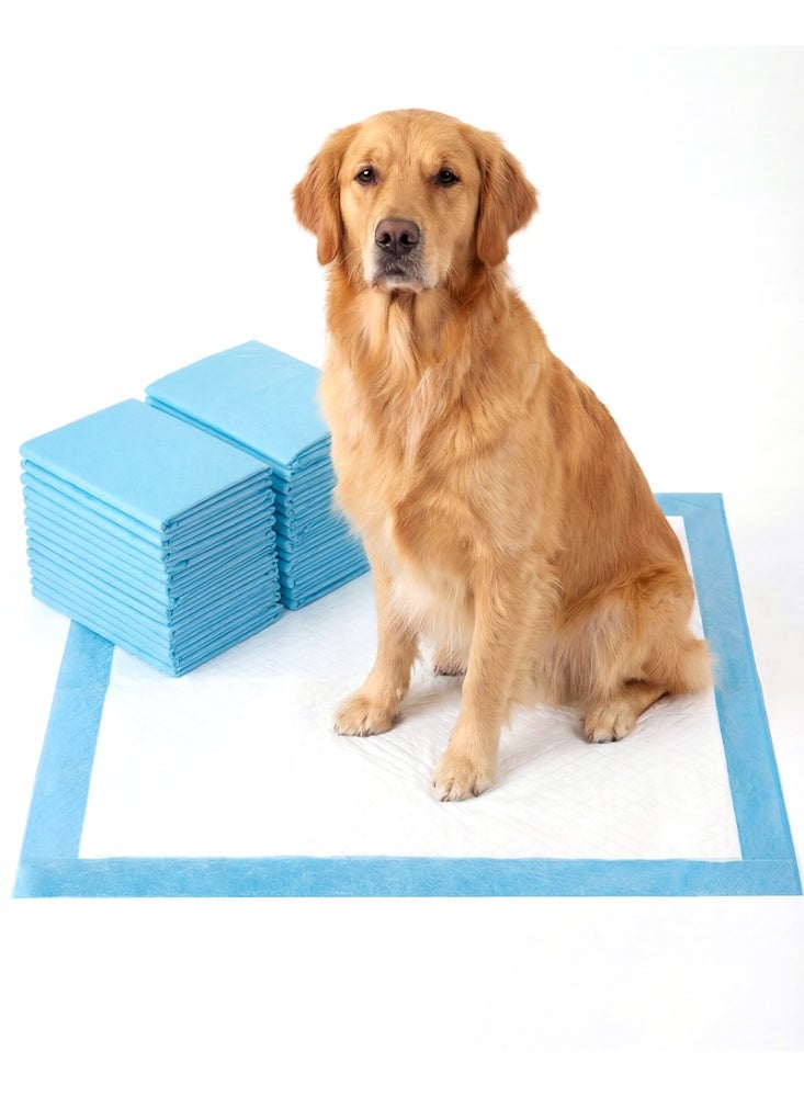 منصات بول الحيوانات الأليفة القابلة للتصرف التي تمتص بسرعة ، مع تصميم سميك ناعم ومريح ، مما يجعلها مقاومة للاختراق ، ومناسبة كمسادات تدريبية للحيوانات الأليفة. - Image 1